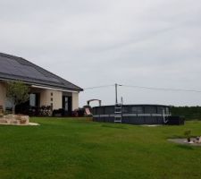 Terrasse bois palmier et piscine