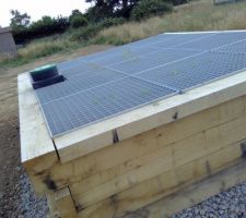 Assainissement individuel phytoépuration