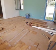 Parquet dans la pièce de vie