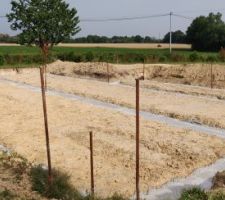 Coulage des longrines de fondation et pose des armatures

Pas de chaînages verticaux (armatures) placés aussi au niveau des ouvertures ? (nous sommes en zone sismique faible)