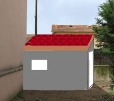Projection de la future cabane