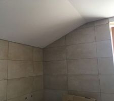 Faience salle de bain
