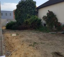 Photo de notre terrain