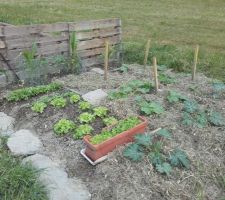 Le jardin, avec le paillage en foin.