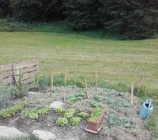 Le jardin, avec le paillage en foin.