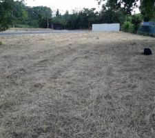 Terrain-2