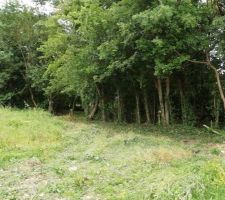 Terrain en Mai 2019, après un léger élagage