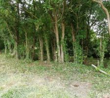 Terrain en Mai 2019, apr&egrave;s un l&eacute;ger &eacute;lagage