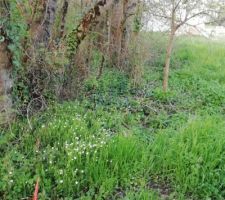 Terrain en d&eacute;cembre 2018