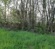 Terrain en d&eacute;cembre 2018