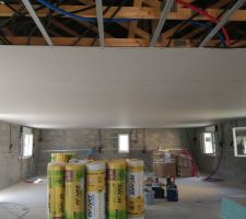 Pose du plafond