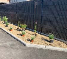 Réception des plantes, fleurs, arbres et préparation de l'implantation sur le terrain.