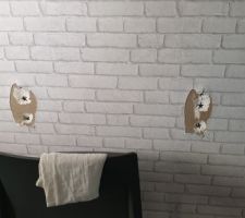 Cheville arraché du placo