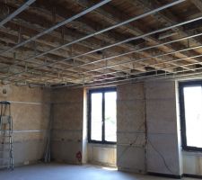 Quelques photos des travaux d'isolation