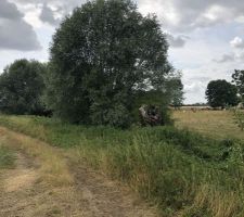 Vue depuis le bas du terrain