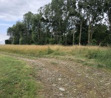 Mon mari délimite la fin de la piscine. Donc notre jardin ira de lui jusqu?à la fin du terrain. On voit une herbe plus verte, cette partie est souvent à l?ombre de la sapinière. Idéale pour une terrasse d?apero ;)