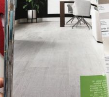 Carrelage pièce de vie