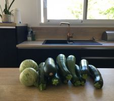 Les courgettes du jardin