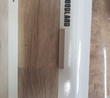 Couleur joint carrelage RDC