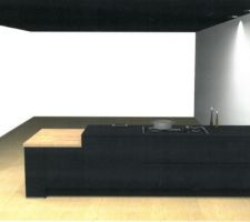 Vue 3D ilot de cuisine de dos- Cuisine IXINA