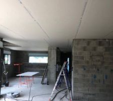 Plaquo plafond pièce de vie
