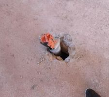 &Eacute;vacuation en cours de reprise