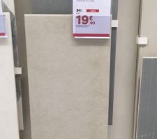 Choisi &agrave; Leroy Merlin
Carrelage mural douche &agrave; l italienne