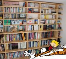 Bibliothèque qui se remplit...