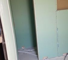 Douche parentale avec la niche