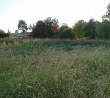 Le terrain <3 <3
