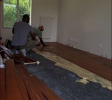 Collage des lames de parquet sur la sous-couche en caoutchouc (on aime pas quand ça crac sous nos pieds). Collage partout sauf dans les pièces d'eau. 3pros
1semaine pour toute la maison !