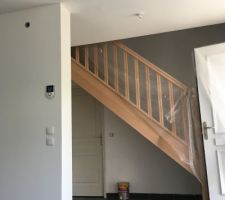 Presque fini la peinture , enduit placo à certains endroits mais certains j?ai pas eu le courage donc ! Sous couché et peinture . Beaucoup de boulot quand même , reste la trémie ( galère à peindre) .