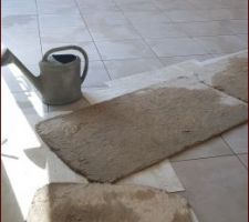 Carrelage du RDC