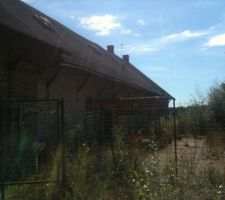 Vue arriere de terrasse 'ce qu il en reste)