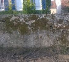 Le mur très abimé sur le lot 4