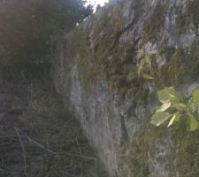 Mur en fond de parcelle du lot 4: on constate un net gonflement
