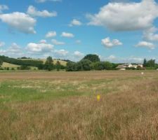 Le terrain lors de notre premi&egrave;re visite, en 2017