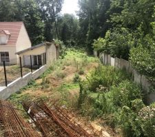 En 1an, la végétation a repris sa place...