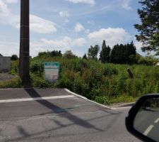 15 jours après avoir posé notre panneau. Force est de constater que la végétation a doublé de volume !