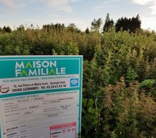 On ne l'avait pas vu venir ce problème de végétations proéminente