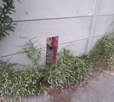 Tracé pour la saignée dans notre cloison de béton (5cm) afin de poser le boitier ENEDIS (mur vu de l'extérieur APRES)