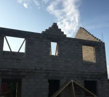 &Eacute;l&eacute;vation des pinions