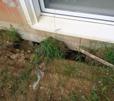 Petit tour maison