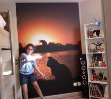 Chambre de Sarah refaite.  Ils ont 11 ans maintenant. De vrais chambres d'ados