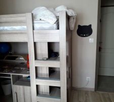 Chambre de Sarah refaite.  Ils ont 11 ans maintenant. De vrais chambres d'ados