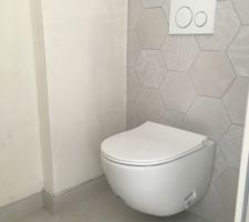 Carrelage hexagonal beige/blanc avec décor, dans les WC du RDC