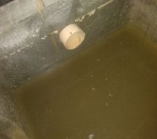 Regard eaux usée qui fuit