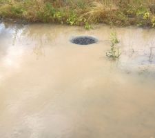 Bouche d'égout débordant lors des orages