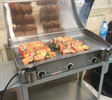 Plancha electrique
