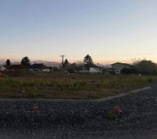 Vue d'ensemble de la parcelle